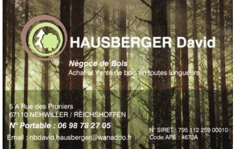 David Hausbereger